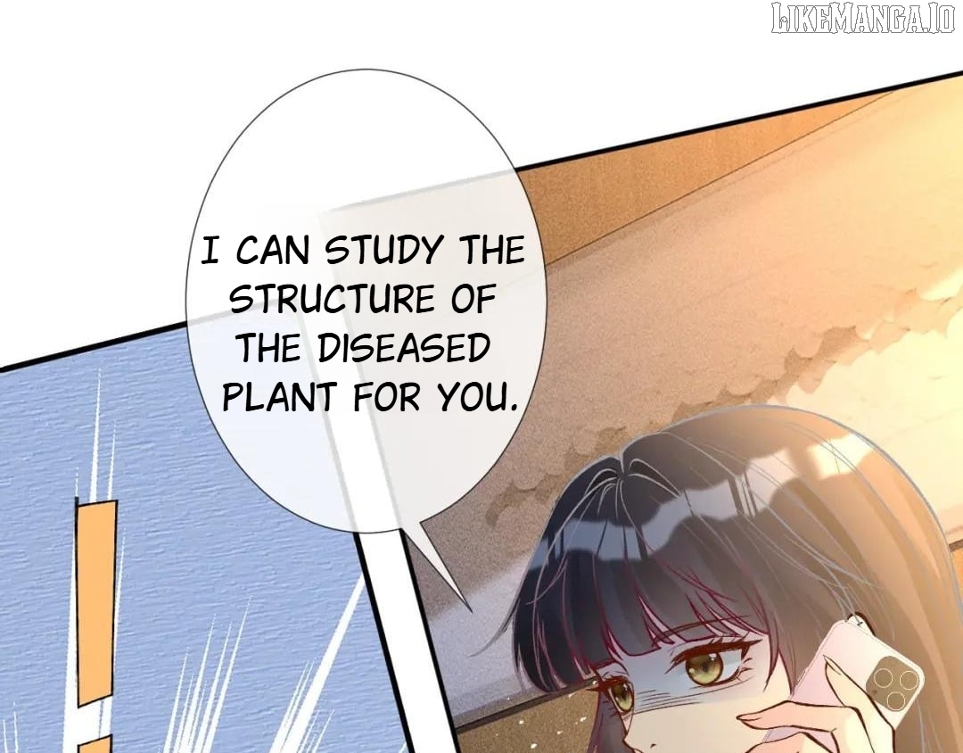 Everyone's Darling Chapter 249 - page 41